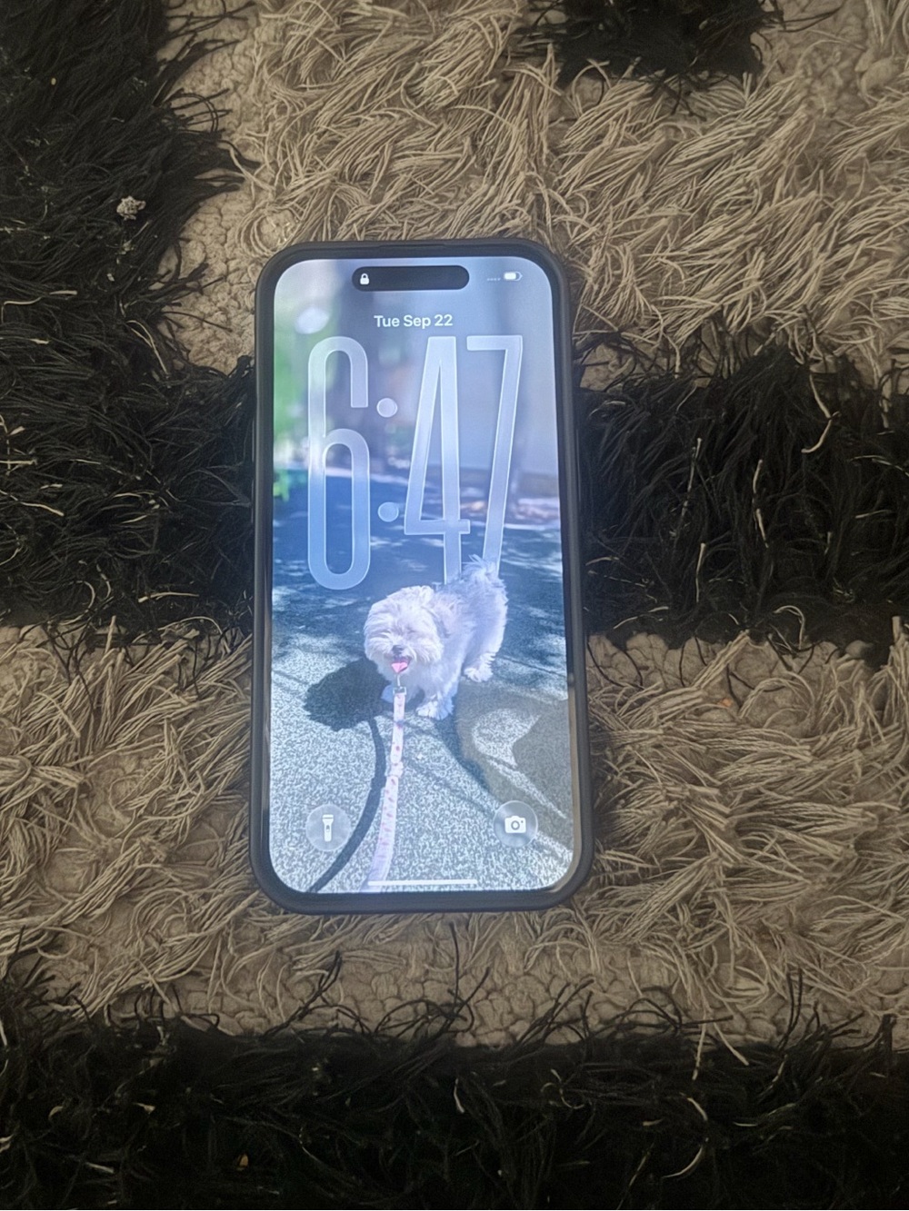 Apple iPhone with Black Case and Blue-Green Wallpaper